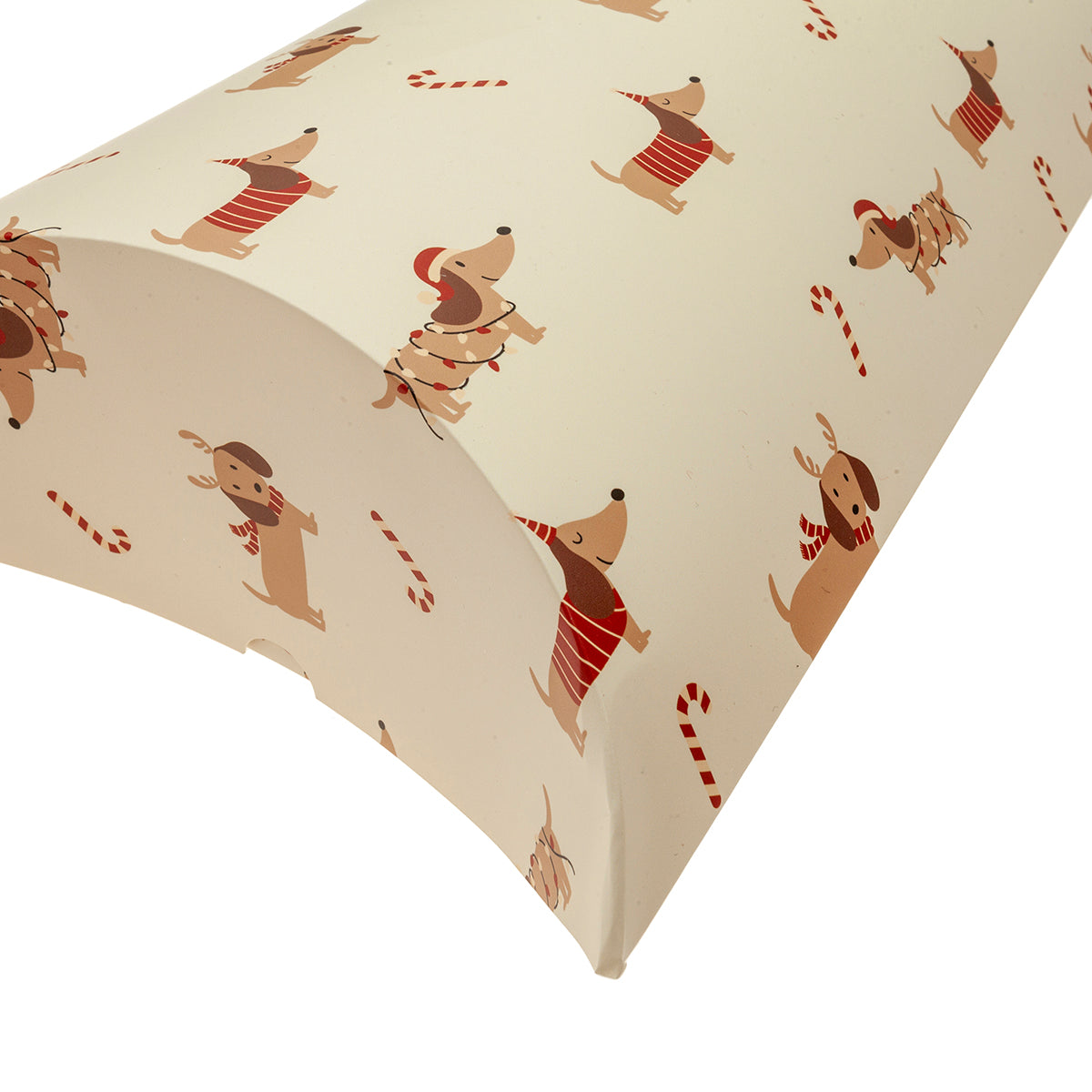 Pack 2 sobres plegables