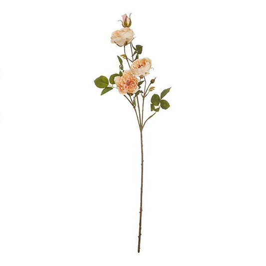 Ramo Rosas