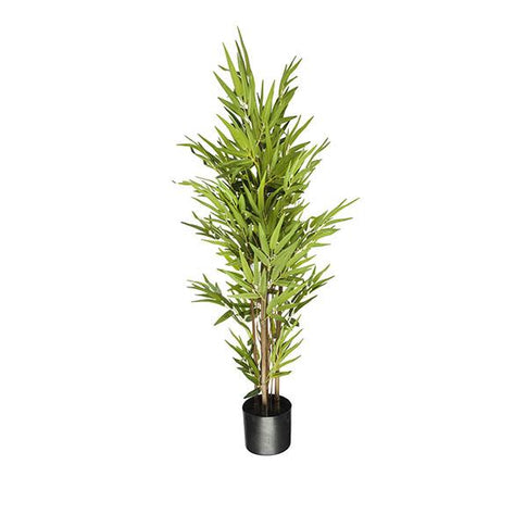 Arbol bambu