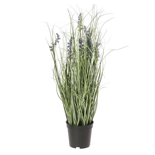 Maceta lavanda