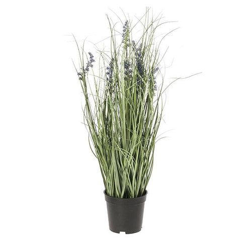 Maceta lavanda