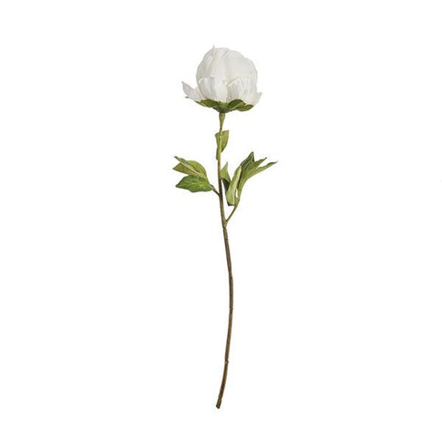 RAMA PEONIA BLANCA