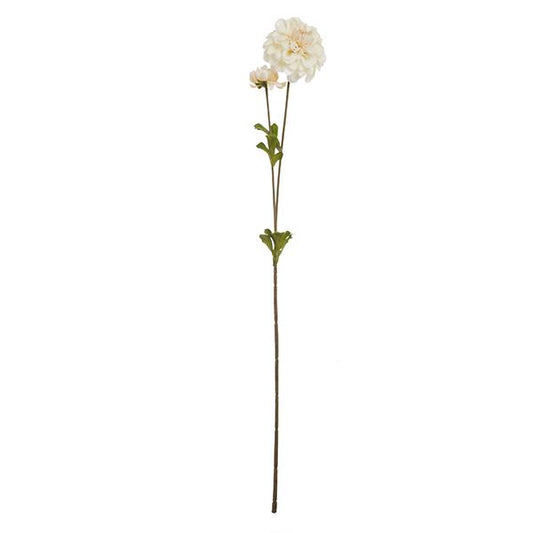 2 ramas dalia 63cm