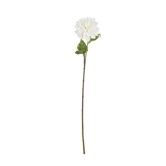 Rama Dalia Blanca