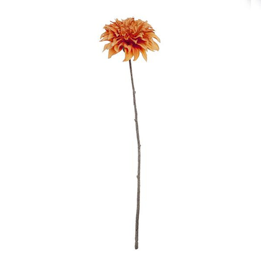 Rama Dalia