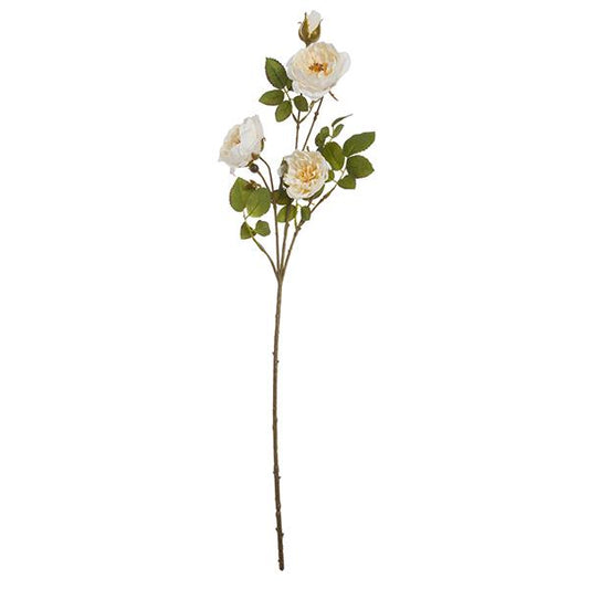 Ramo Rosas
