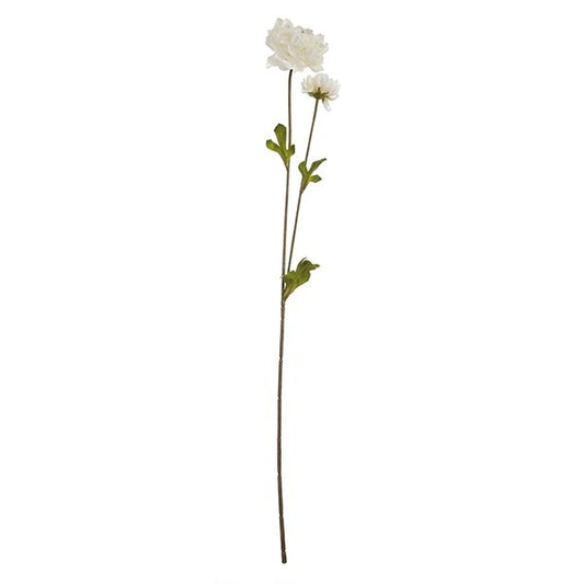 2 RANÚNCULO 63CM CR.