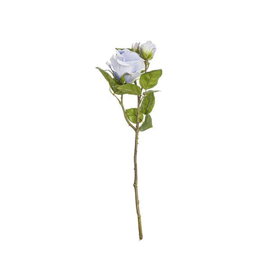 RAMO ROSA