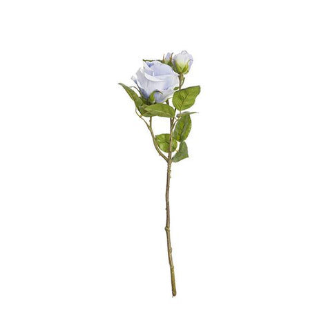 Branche de rose