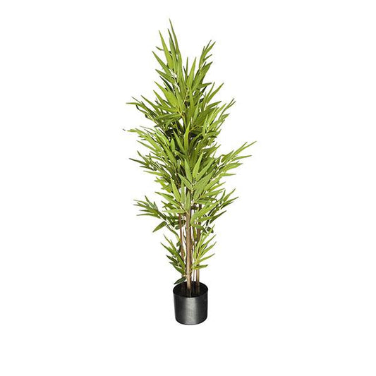 Arbol bambu