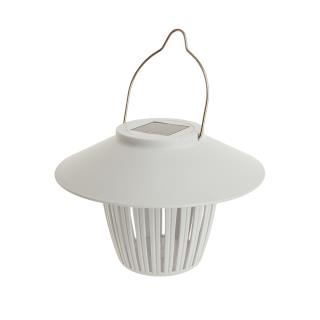 MM-230306_imagen1