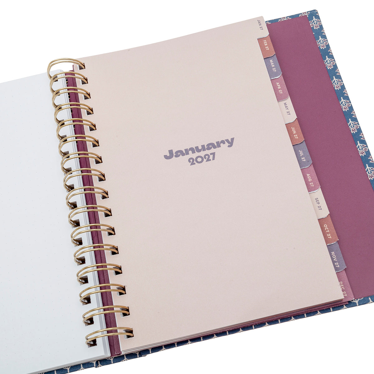 MM-231727_imagen2