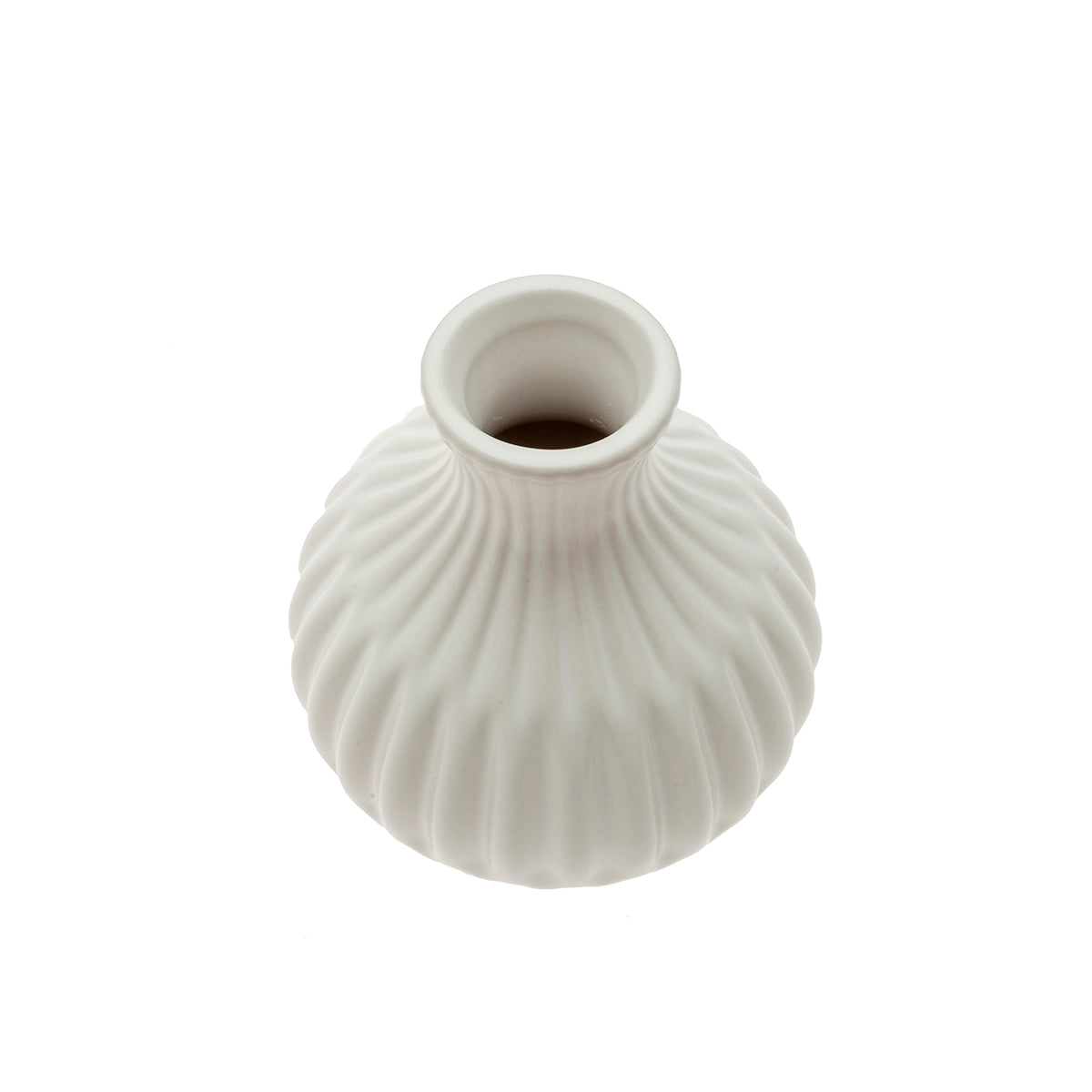 MM-231072D3_imagen2