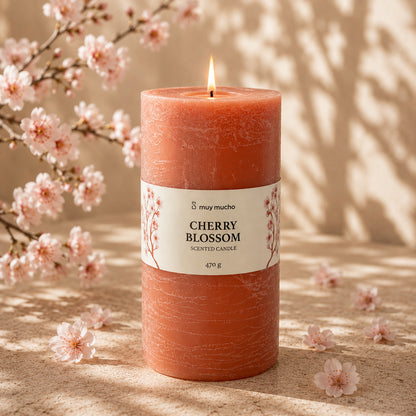 MM-229310_imagen3