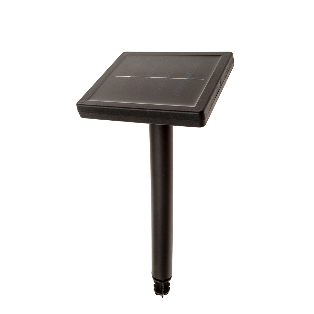 MM-230310_imagen2