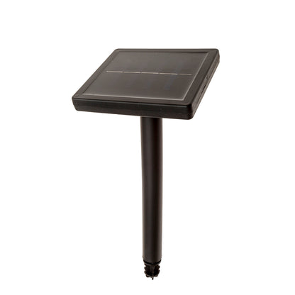 MM-230310_imagen2