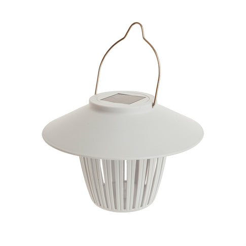 MM-230306_imagen1