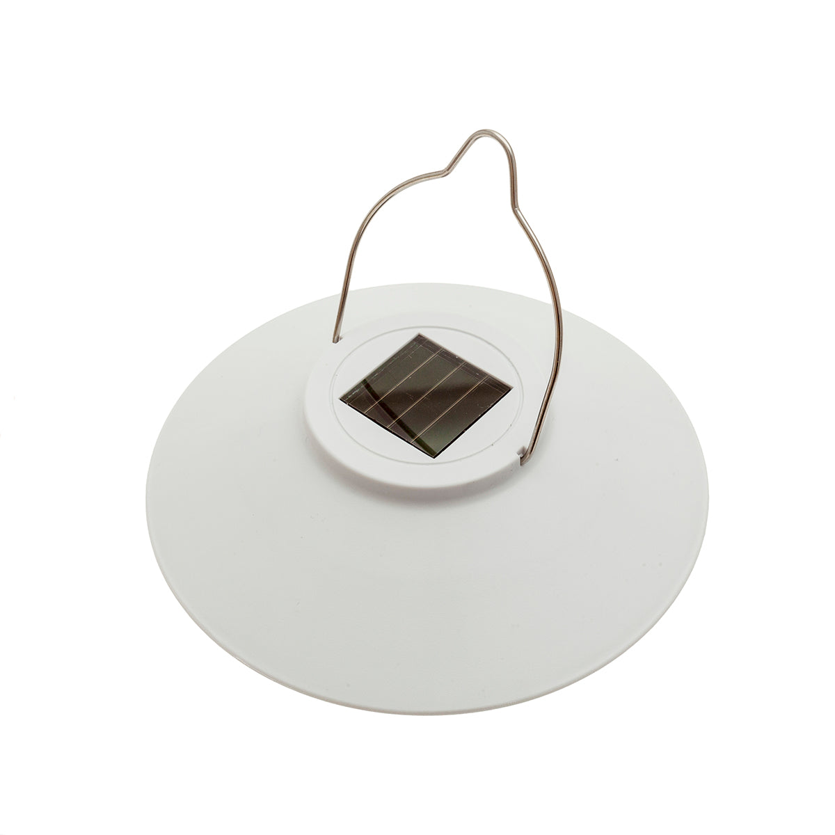 MM-230306_imagen2