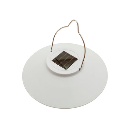 MM-230306_imagen2