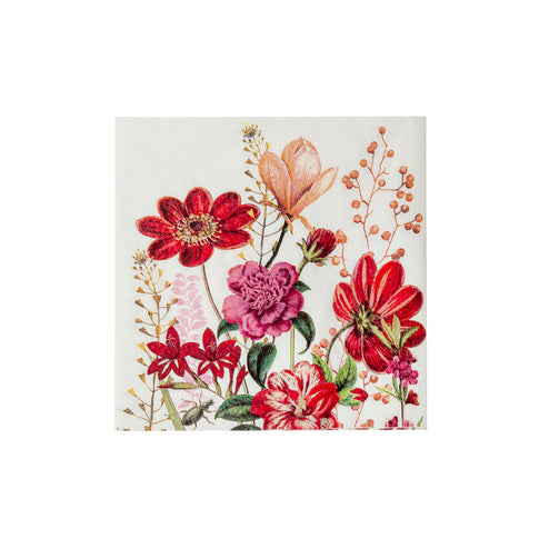 MM-230258_imagen1
