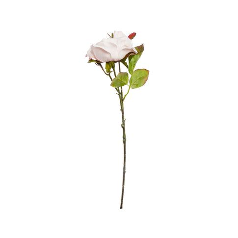 1010400129_imagen1