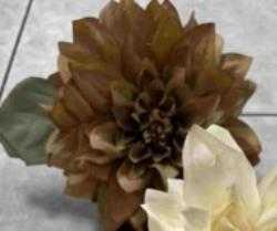 1010400262_imagen1