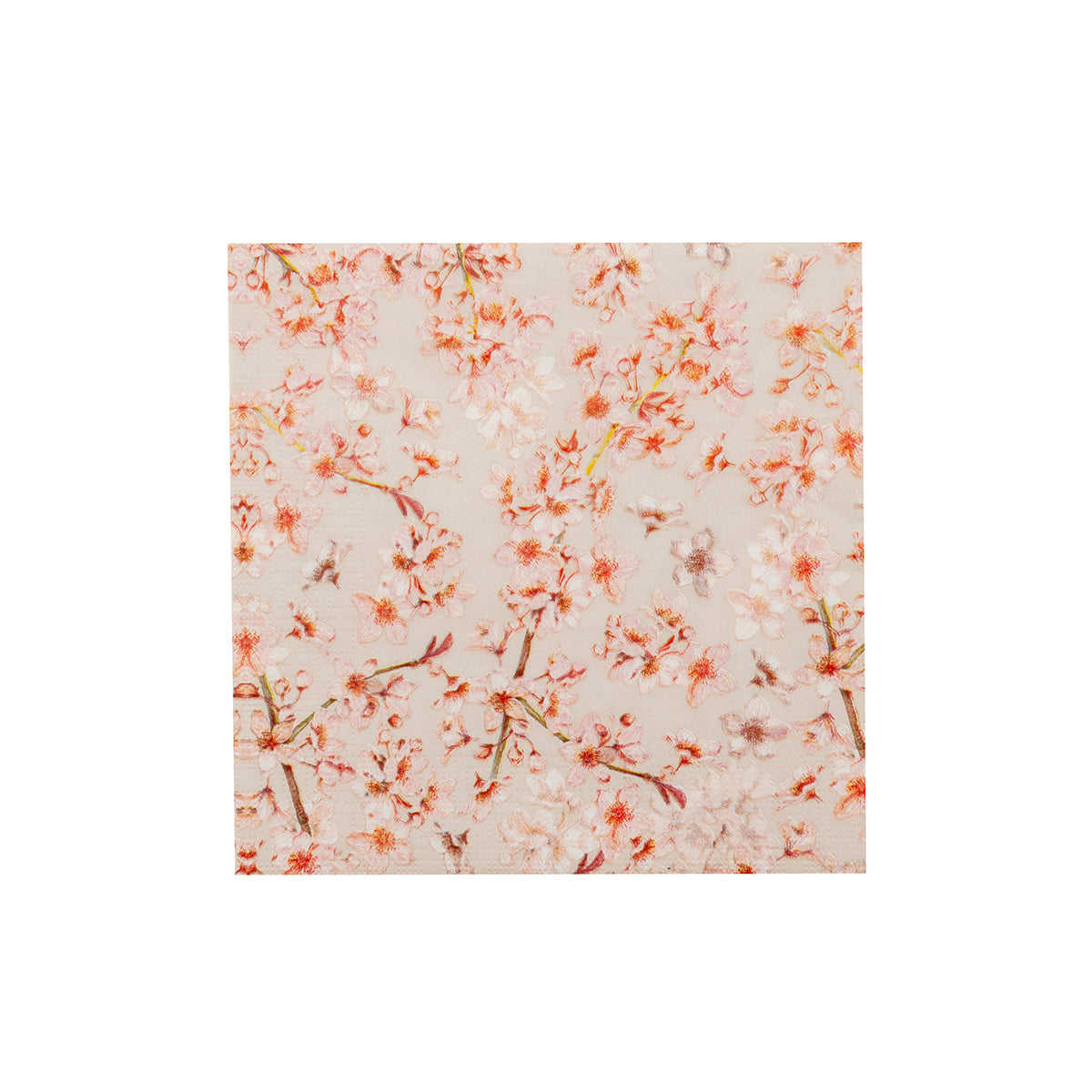 MM-230257_imagen1