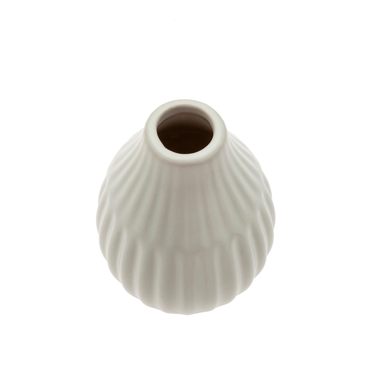 MM-231072D2_imagen2