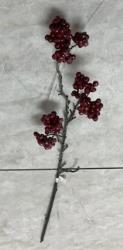 1010400253_immagine1