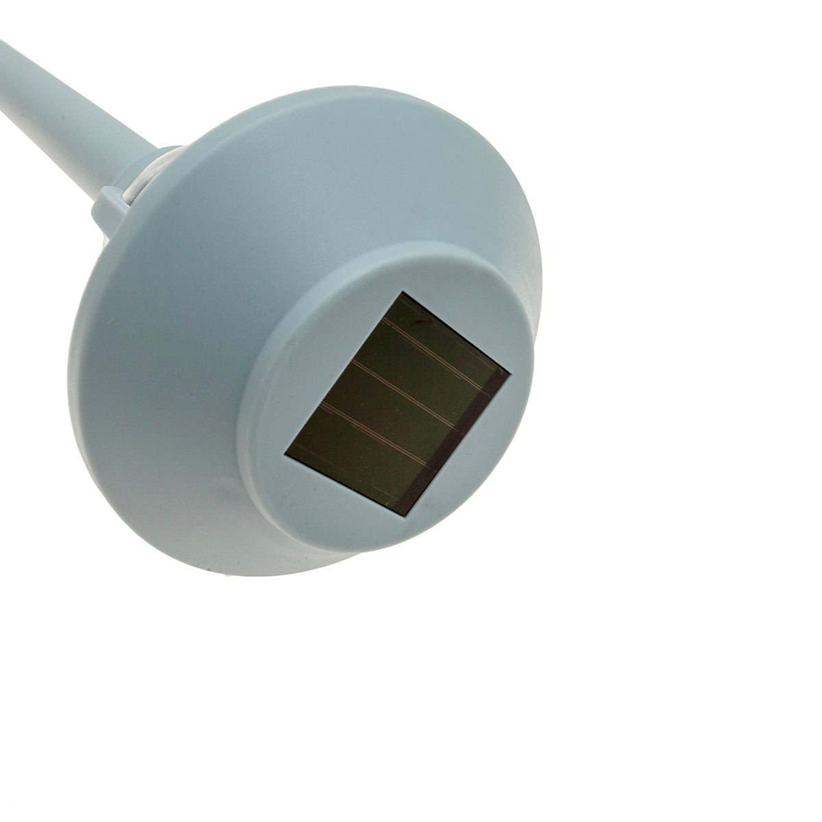 MM-230308_imagen2