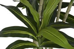 JA-216997_imagen2