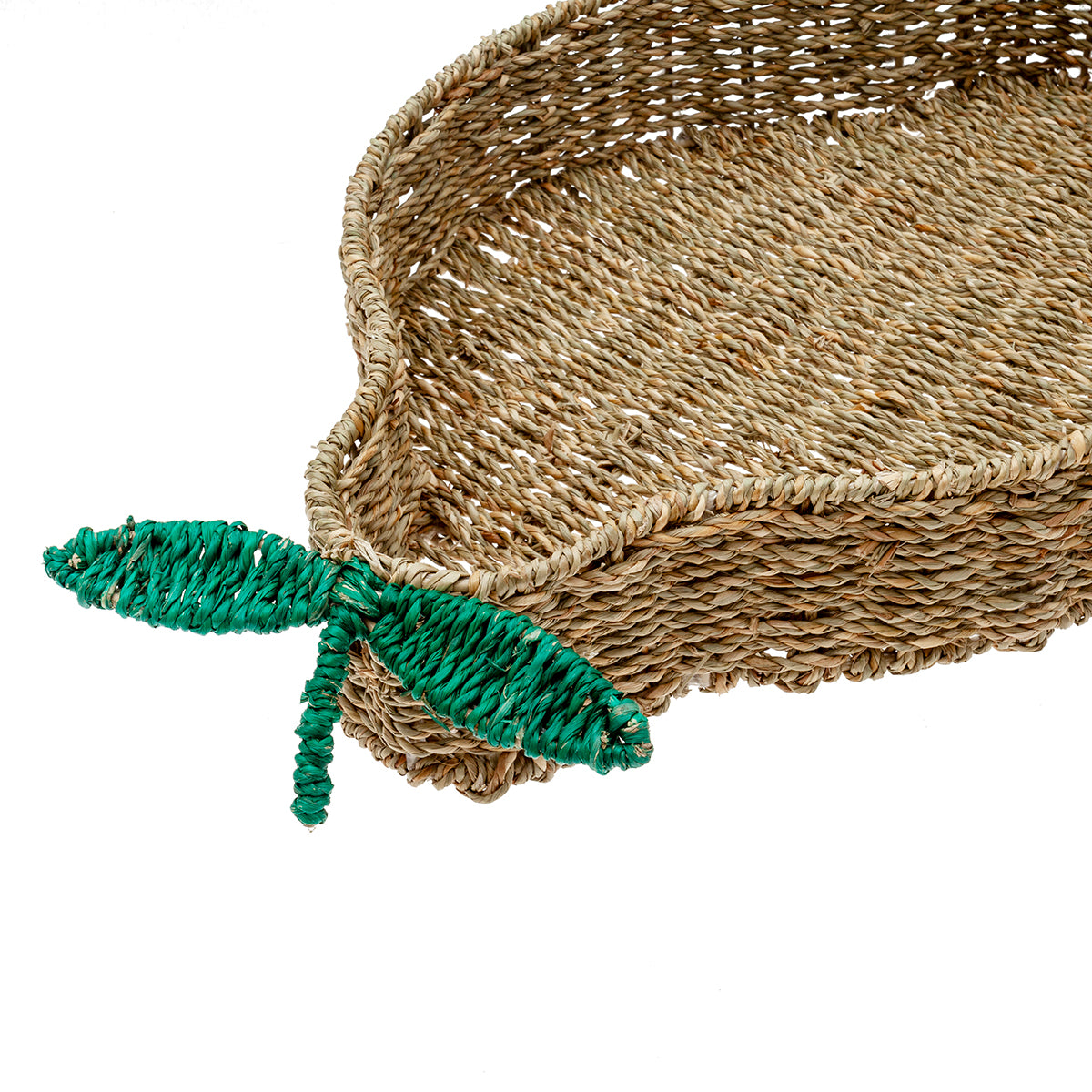 MM-228759_imagen2