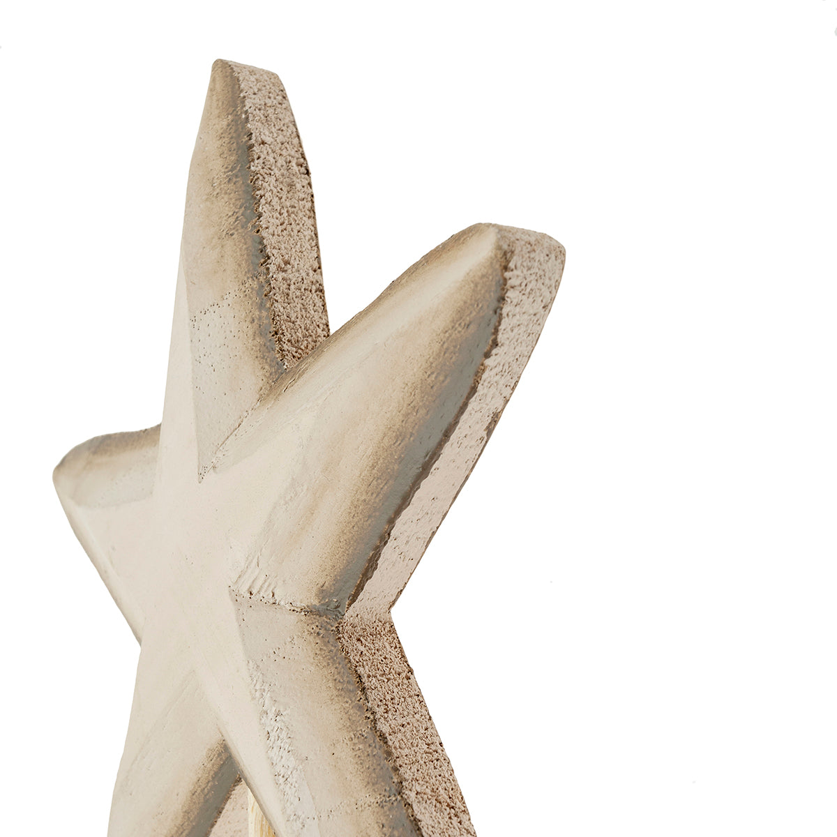 MM-230100_imagen2