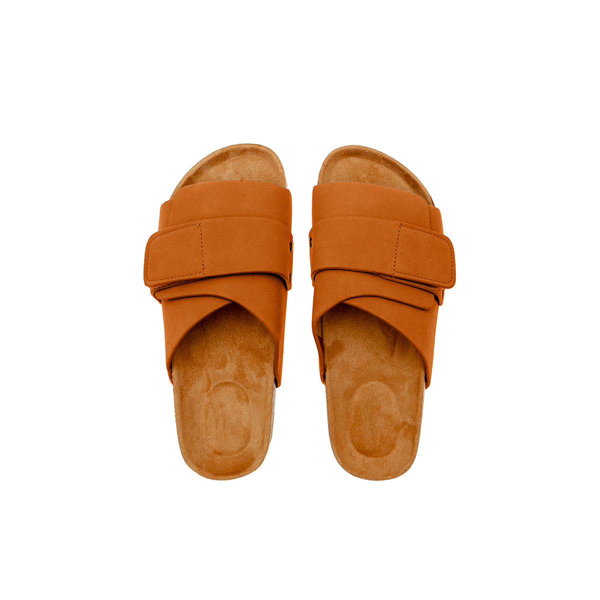 MM-229482_imagen1