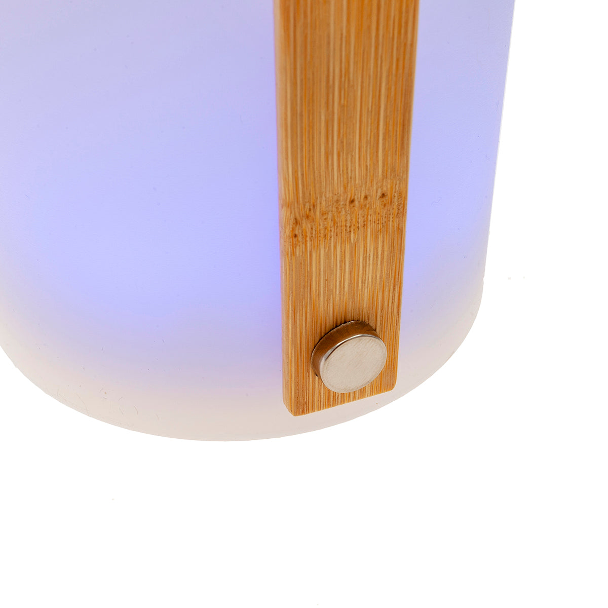 MM-230304_imagen2