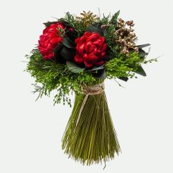 1010400173_imagen1