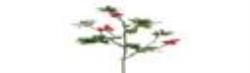 MM-233065_imagen1