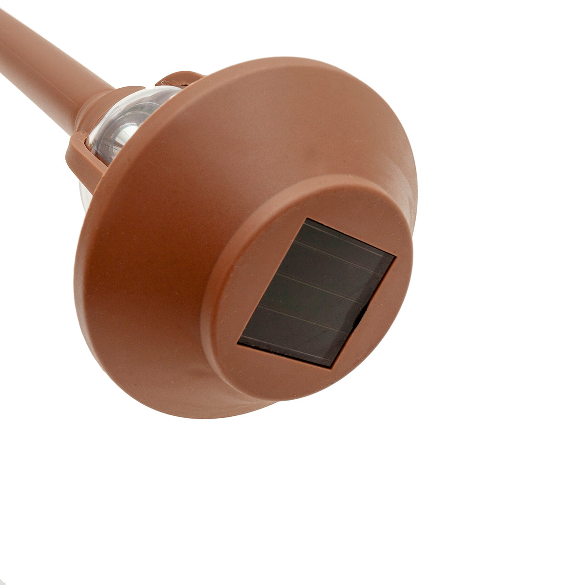 MM-230309_imagen2