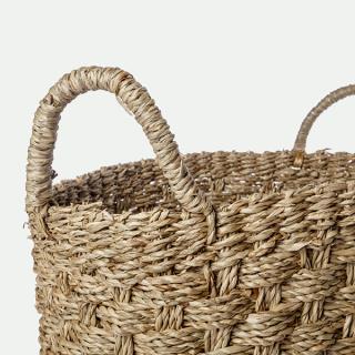 1030200231C_imagen2
